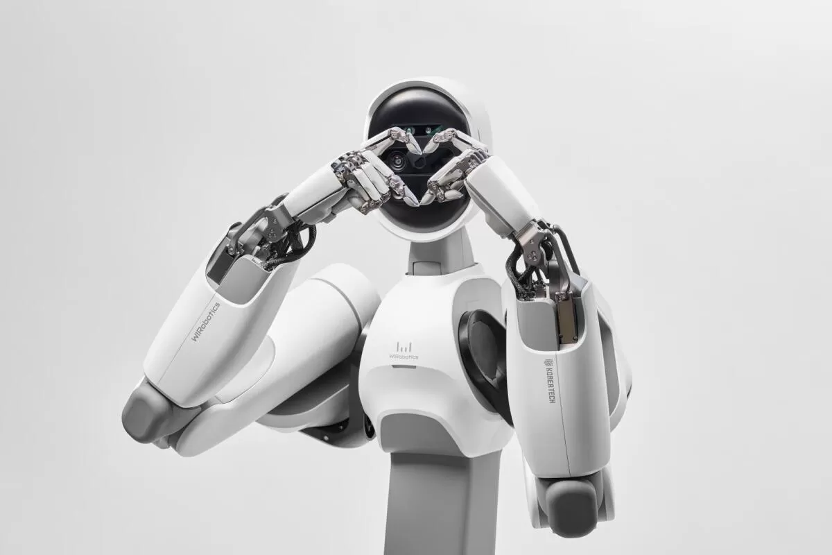 İnsansı robotik İnsansı robotik